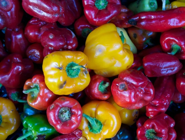 Verschillende kleurrijke paprika — Stockfoto