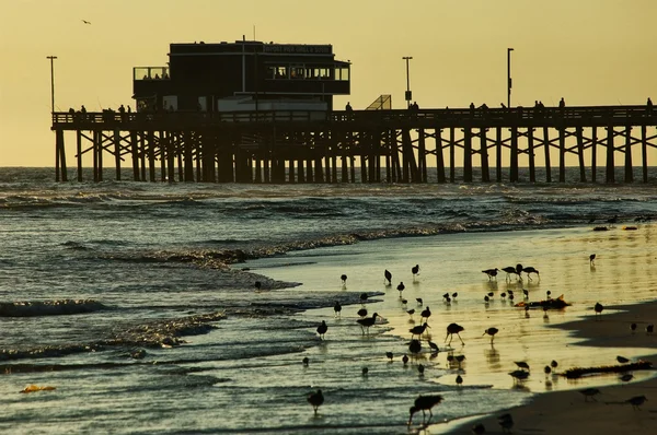 Huntington Beach noite — Fotografia de Stock