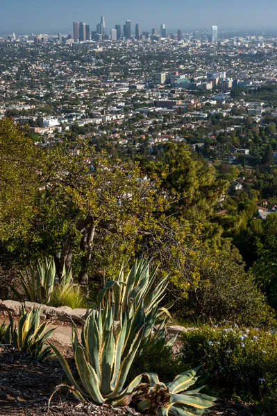 Los angeles z griffith park — Zdjęcie stockowe