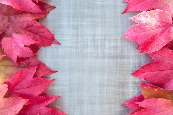 El otoño deja abstracto — Foto de Stock