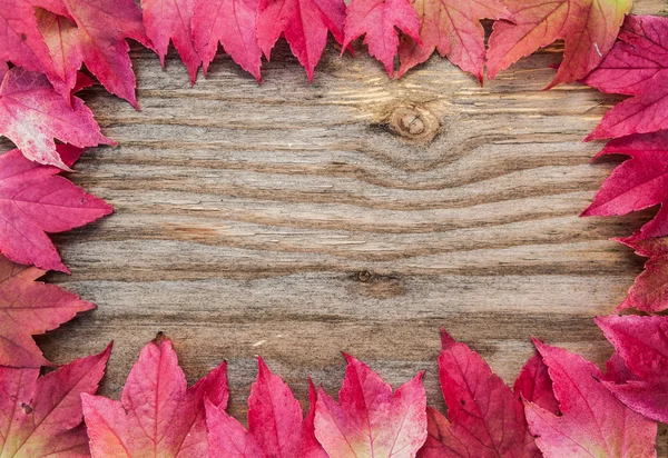 Otoño hojas marco de madera — Foto de Stock