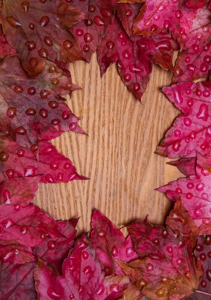 Autumn leaves raindrops on wood — Stock Photo, Image