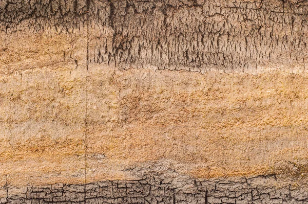 Peat bog earth cross section texture