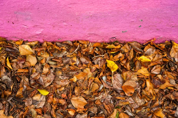 Folhas de outono parede rosa — Fotografia de Stock