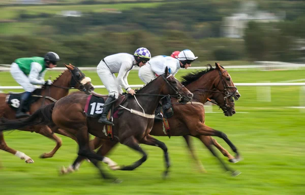 Velocidad de carreras de caballos — Foto de Stock