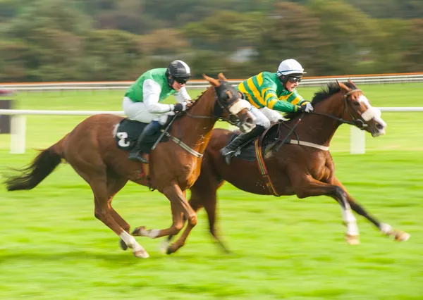 Konie raceing Zdjęcie Stockowe