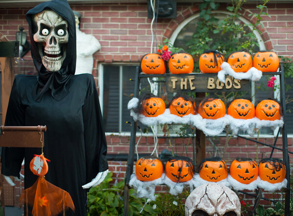 Skeleton and halloween pumpkins