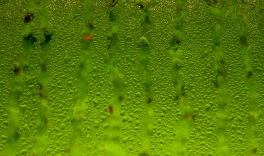 yeşil yoğunlaşma penceresi