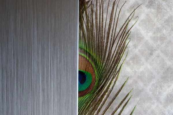 Brushed metal peacock feather abstract — Stock Photo, Image