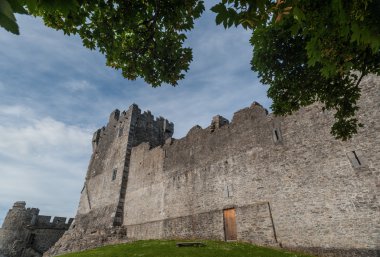 Ağaç yaprakları ile Ross kale