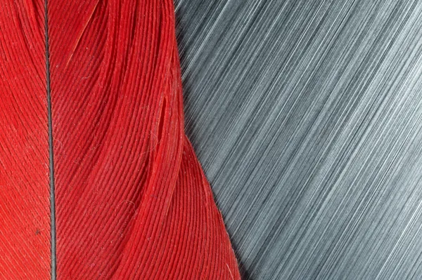 Red feather and brushed metal abstract