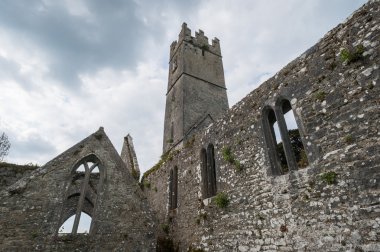adare manastır kalıntıları yakın çekim