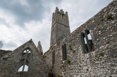 Close up of the ruins of Adare Abbey clipart