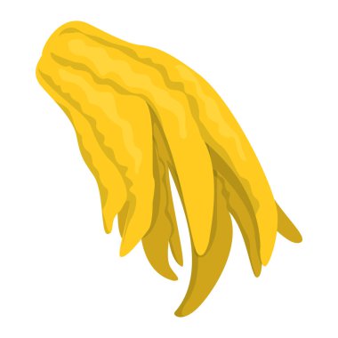Buddha's hand fruit vector isolated. Illustration of a tropical fruit, fresh organic product. Exotic food. Fingered juicy fruit.