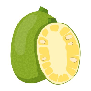 Jackfruit vektörü izole edildi. Tropikal bir meyve tasviri. Egzotik bitki, doğal ürün. Yeşil sulu meyve, bir dilim vejetaryen yemeği..