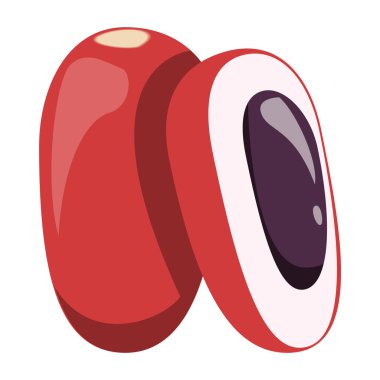 Mucize meyve vektörü izole edildi. Tropikal kırmızı böğürtlen, içinde tohum olan bir meyve dilimi. Doğal malzeme, egzotik dut..