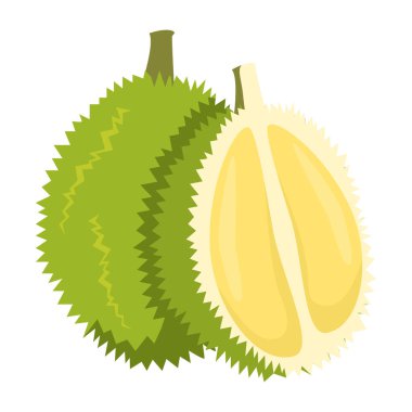 Durian vektörü izole edildi. Egzotik yiyecekler, lezzetli taze yemekler. Tatlı tropikal ürün. Dilimlenmiş durian, meyve püresi..