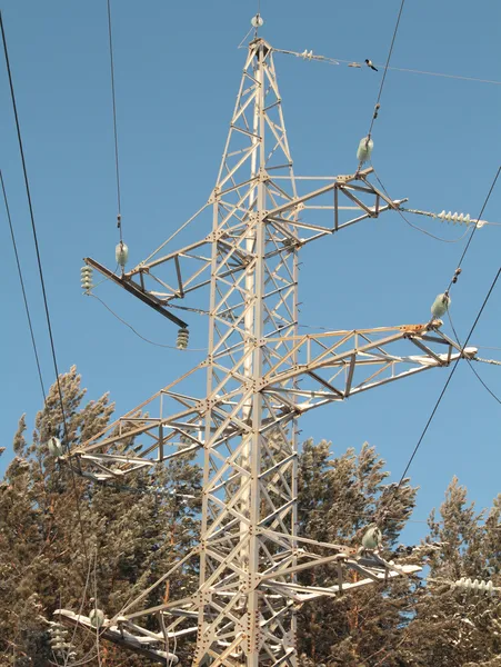 enerji - volt güç hatları