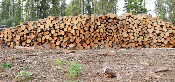 Günlük kayıtları