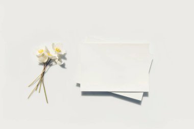 Model poster veya el ilanı, davetiye, boş beyaz kağıt ve zarif minimalist tarzda gri arka planda sert gölgeli şakayık çiçekleri. Düğün kartı. Kırtasiye