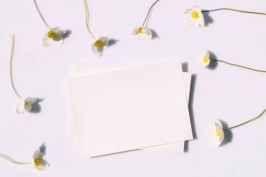 Sunum, davetiye, boş beyaz kağıt ve zarif minimalist tarzda gri arka planda sert gölgeli şakayık çiçekleri için afiş veya broşür. Düğün kartı. Kırtasiye