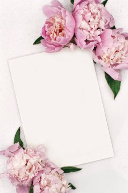 Model poster, davetiye ilanı ya da şakayık çiçekli tebrik kartı. Beyaz arka planda yağmur damlaları olan bir düğün sayfası. Düz yatıyordu