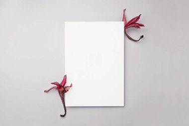 Kırtasiye kağıdı boş tebrik kartı ya da gri bir masanın üzerinde pembe kuru çiçekler olan davetiye. Üst görünüm, kopyalama alanı olan düz uzanma