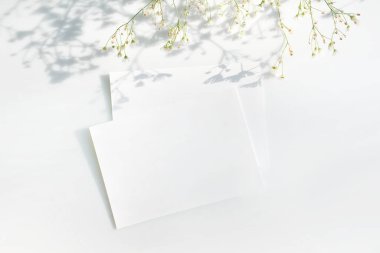 Beyaz çiçekli beyaz kağıtların sunumu için afiş ya da el ilanı ve zarif modern tarzda gri bir arka planda gölge. Tebrikler, kartvizit.