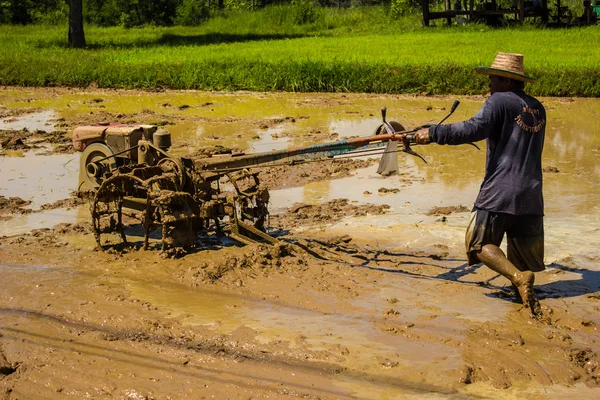 Farmeur labourant en Asie . — Photo