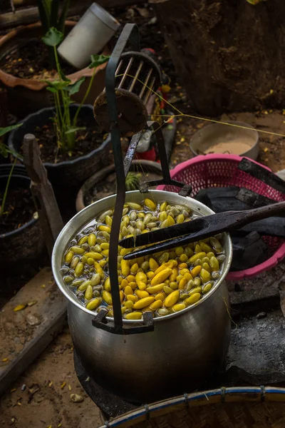 Herstellung von Seide in Thailand — Stockfoto