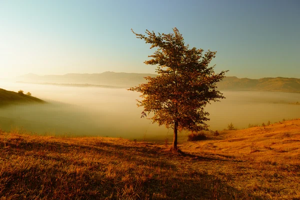 Paisaje otoñal — Foto de Stock