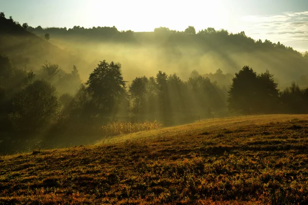 Mañana de otoño — Foto de Stock