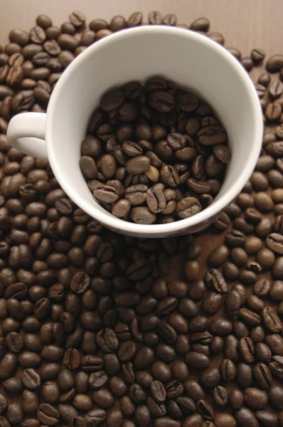 Monochromer Kaffee — Stockfoto