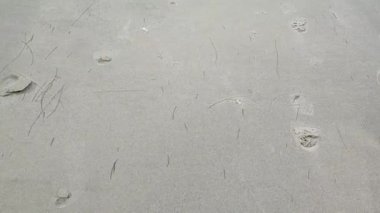Plajın soyut kumu ve yumuşak dalga arkaplanı