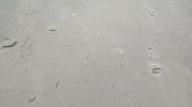 Plajın soyut kumu ve yumuşak dalga arkaplanı