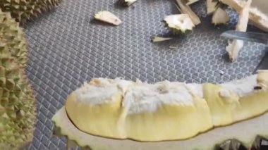 Bahçıvan Durian 'ı açtı, nefis organik sarı Durian' ın açık eti bulanık arka planda, taze Durian doğal çiftlik arka planında..