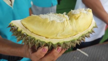 Bahçıvan Durian 'ı açtı, nefis organik sarı Durian' ın açık eti bulanık arka planda, taze Durian doğal çiftlik arka planında..