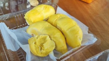 Bahçıvan Durian 'ı açtı, nefis organik sarı Durian' ın açık eti bulanık arka planda, taze Durian doğal çiftlik arka planında..