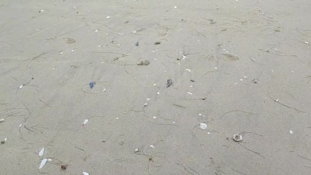 Abstrakcyjny Piasek Plaży Miękkie Tło Fali — Wideo stockowe