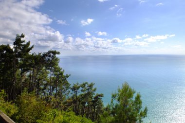 Pines ve Karadeniz ile peyzaj