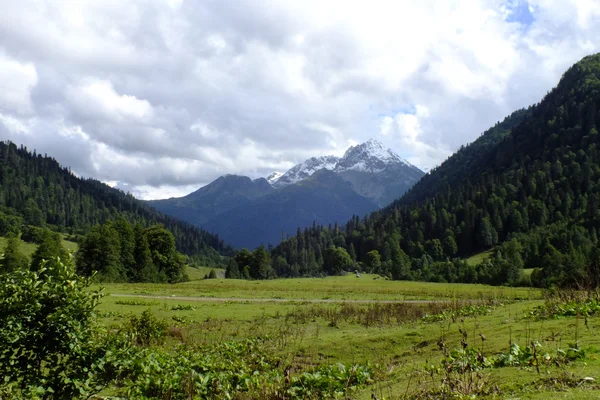 Dağlardaki alp çayırı