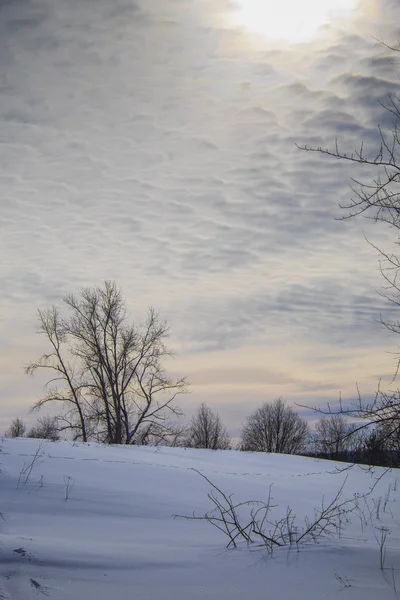 Kış günü alanında