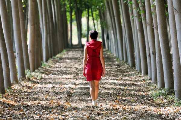 Women dressed in red walking in the forest — Stock Photo, Image