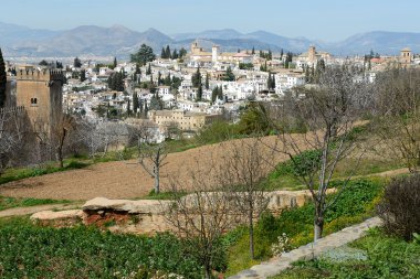 alhambra, granada, Endülüs, İspanya'dan görüldü albaicin