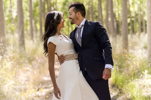 Just married couple in poplar background — Stock Photo, Image