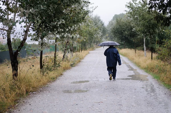 Unknown man walking along a road in the woods, on a rainy day, w — Stock Photo, Image