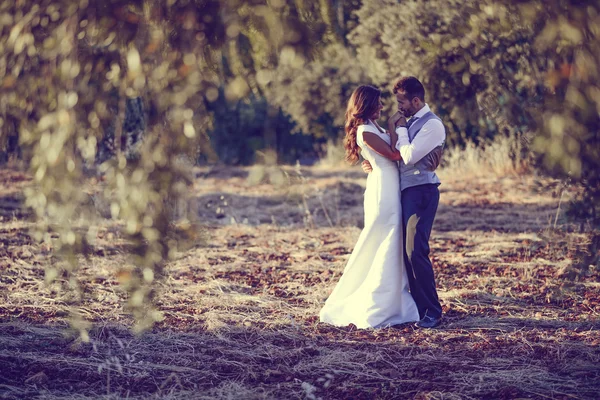 Just married couple in nature background Stock Image