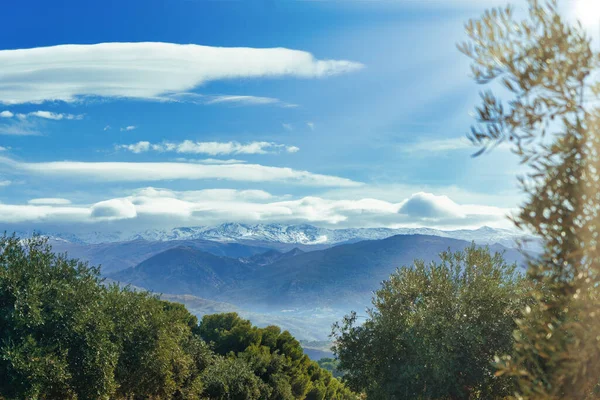 Sierra Nevada as seen from the olive groves in the Llano de la Perdiz in Granada Stock Picture
