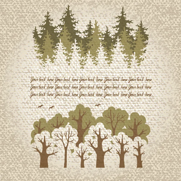 yeşil yapraklı ve iğne yapraklı orman bir pl ile gösteren resim