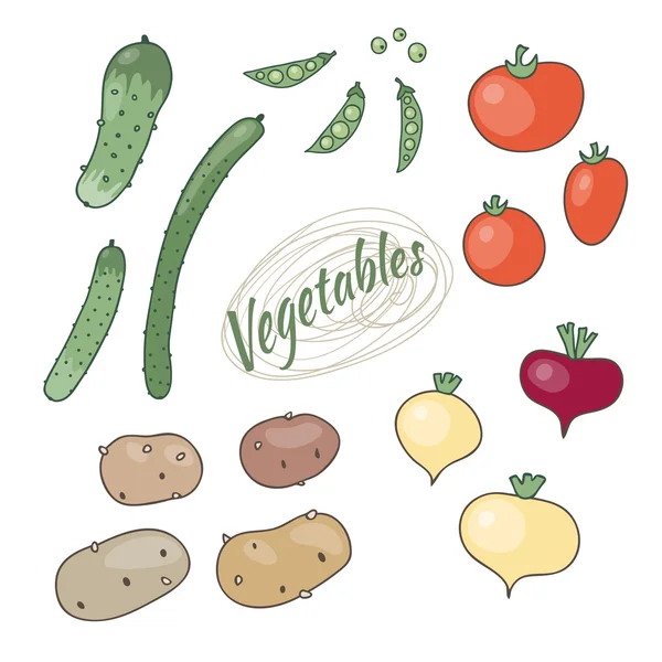 Conjunto de verduras. Los elementos del conjunto: patatas, tomates , — Vector de stock